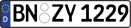 BN-ZY1229