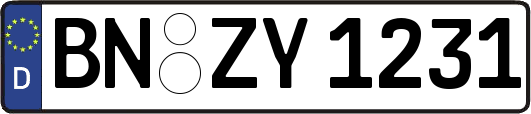 BN-ZY1231