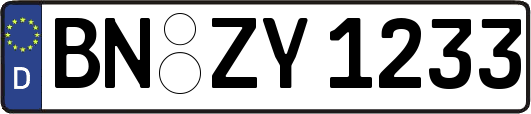 BN-ZY1233