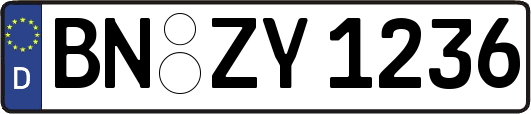 BN-ZY1236