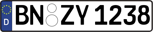 BN-ZY1238