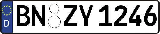 BN-ZY1246