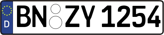 BN-ZY1254