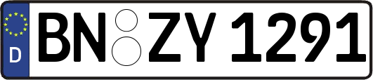 BN-ZY1291