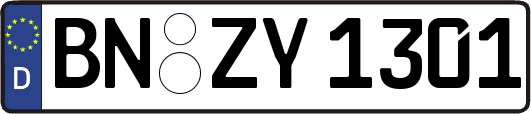 BN-ZY1301