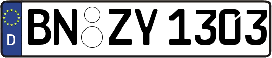 BN-ZY1303