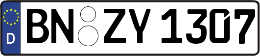 BN-ZY1307