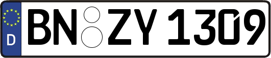 BN-ZY1309