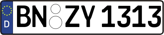 BN-ZY1313