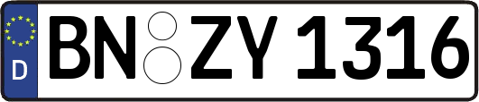 BN-ZY1316