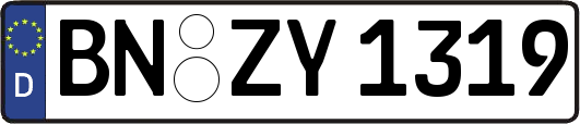 BN-ZY1319