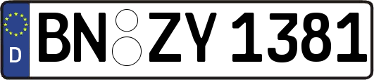 BN-ZY1381