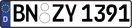 BN-ZY1391