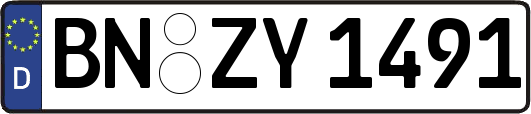 BN-ZY1491