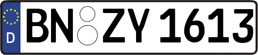 BN-ZY1613