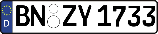 BN-ZY1733