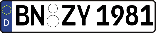BN-ZY1981