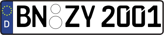 BN-ZY2001