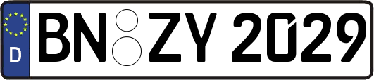 BN-ZY2029