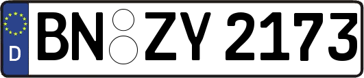 BN-ZY2173