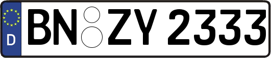 BN-ZY2333