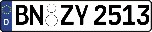 BN-ZY2513