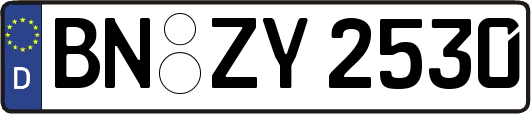 BN-ZY2530