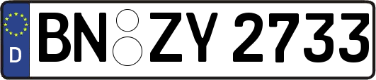 BN-ZY2733