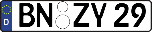 BN-ZY29