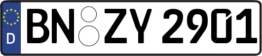 BN-ZY2901