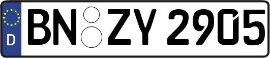 BN-ZY2905