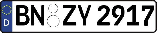 BN-ZY2917