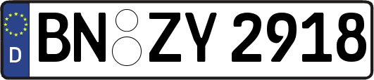 BN-ZY2918
