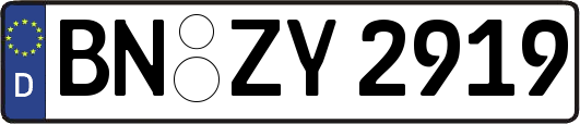 BN-ZY2919