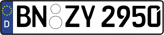 BN-ZY2950