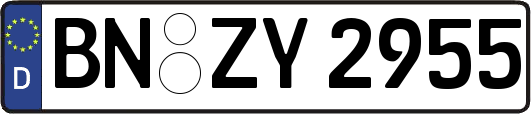 BN-ZY2955