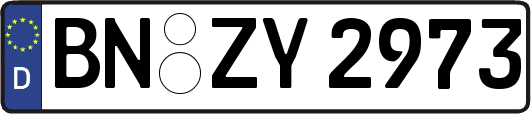BN-ZY2973