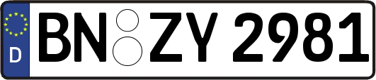 BN-ZY2981