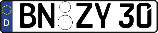 BN-ZY30