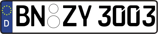 BN-ZY3003