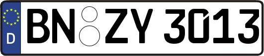 BN-ZY3013