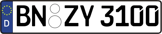 BN-ZY3100
