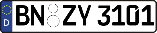 BN-ZY3101