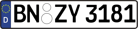 BN-ZY3181