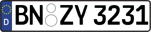 BN-ZY3231