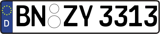 BN-ZY3313