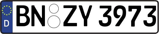 BN-ZY3973