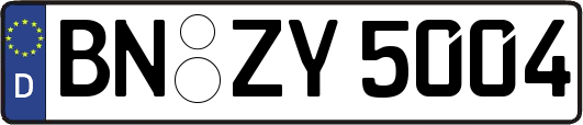 BN-ZY5004