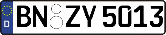 BN-ZY5013