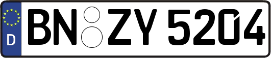 BN-ZY5204